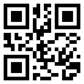 Номер 251027 QR-код