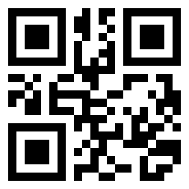 Номер 256481 QR-код