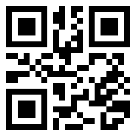 Номер 300053 QR-код