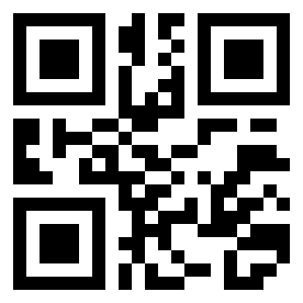 Номер 393381 QR-код