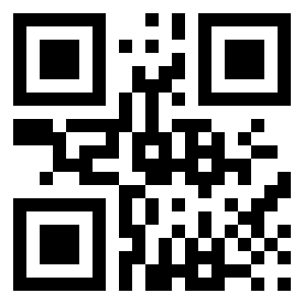 Номер 5410132 QR-код