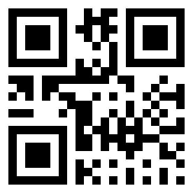 Номер 95100 QR-код